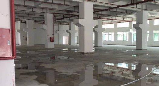 凤岗金凤凰独栋厂房出租 带牛角 可办环评 可分租