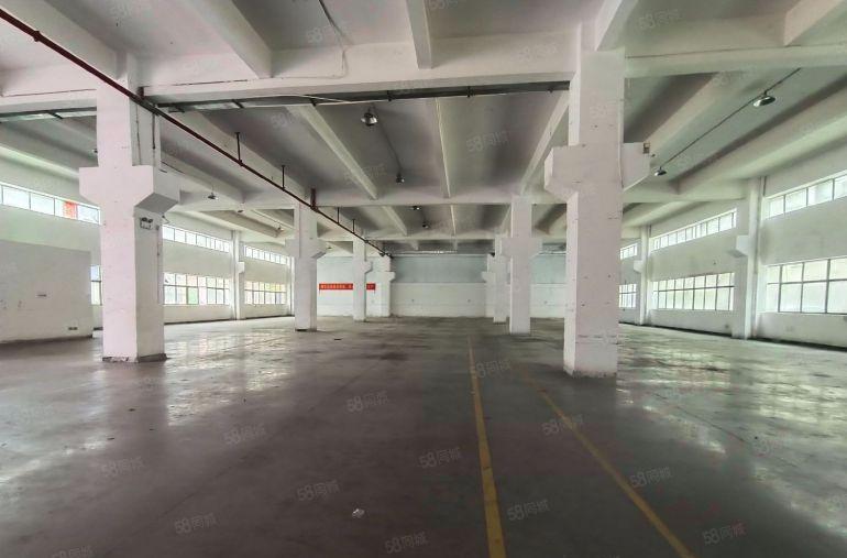 谢岗镇原房东标准厂房一楼1800平方低价出租 现成装修办公室