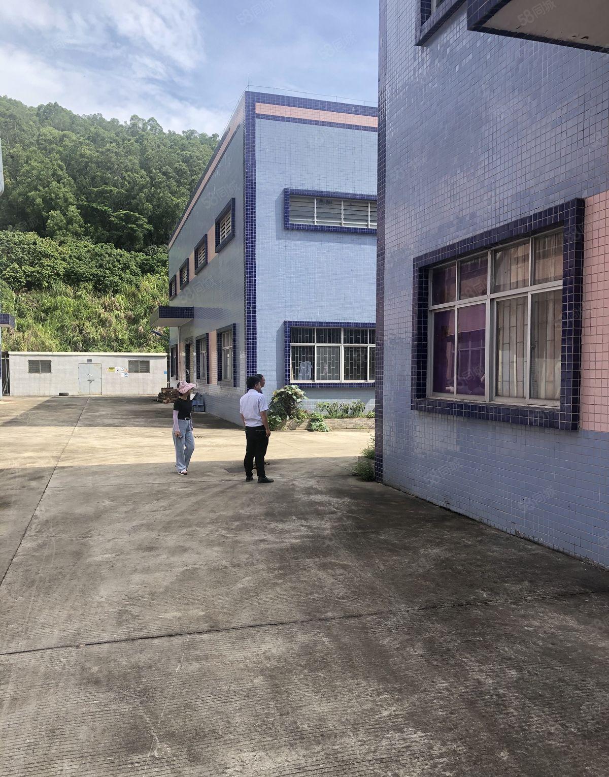 谢岗厂房出租1500平方独门独院厂房出租原房东出租