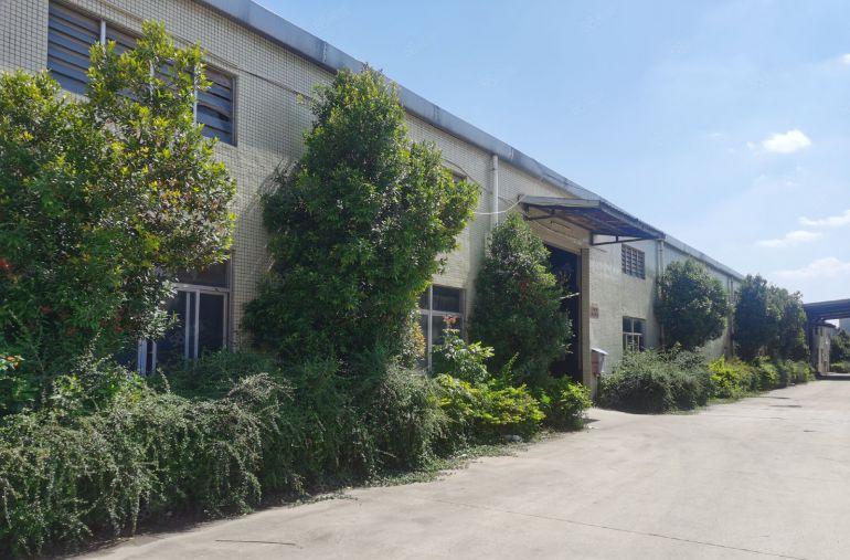 谢岗工业园个人低价便宜单一层钢构工业厂房出租1万平可大小分租