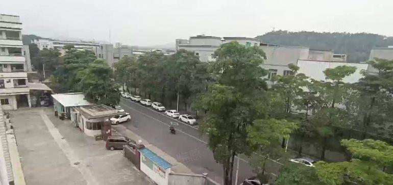 谢岗镇原房东标准厂房出租小面积楼上现成装修办公室水电齐全