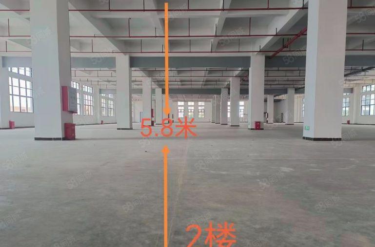 谢岗镇全新标准7层厂房30万平方招租，主线到车间，面积可分租