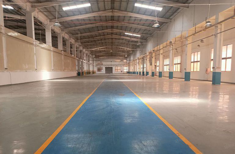 谢岗镇小独院，钢构1500平，价格14元，高度9米，形象好