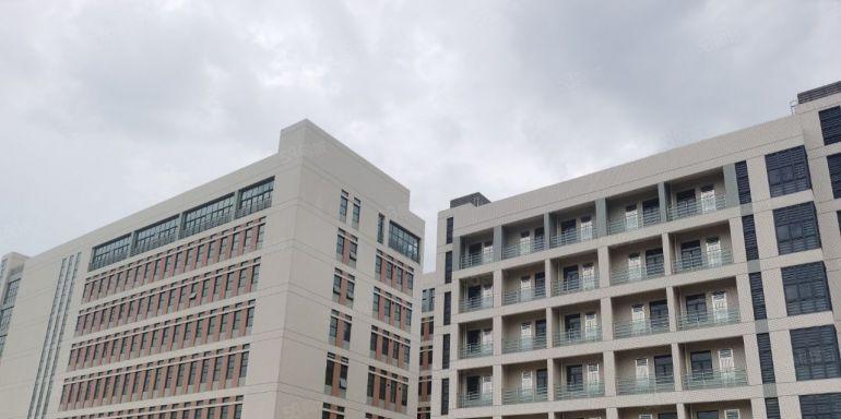 谢岗镇全新工业园厂房楼上10元起租，带消防喷淋，园区配套齐全