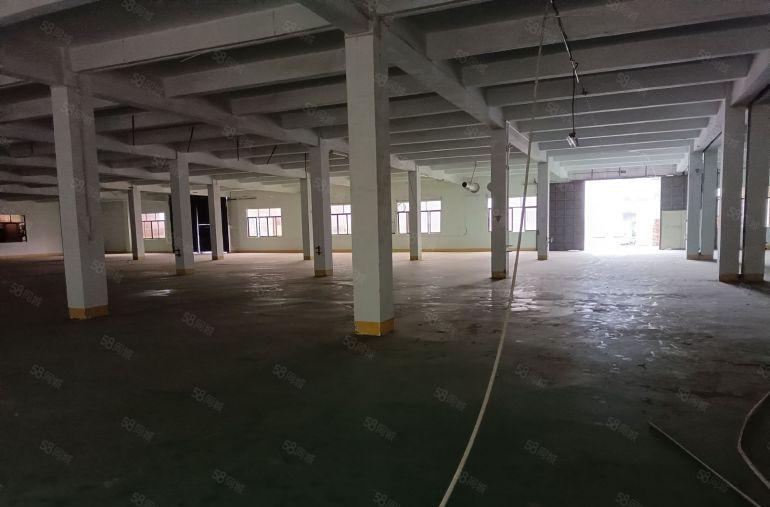 实量，零公摊。谢岗镇独门独院厂房出租，一楼6米，空地大