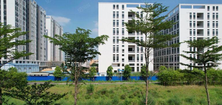 谢岗镇全新标准厂房30万平方招租，单层面积3000平方可分租