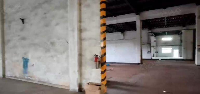 谢岗镇原房东独门独院厂房出租水电齐全正规工业用地现成办公室