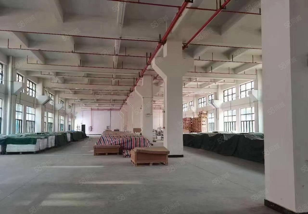 谢岗曹乐乐原房东全新重工业带红本花园式独栋厂房6800平出租