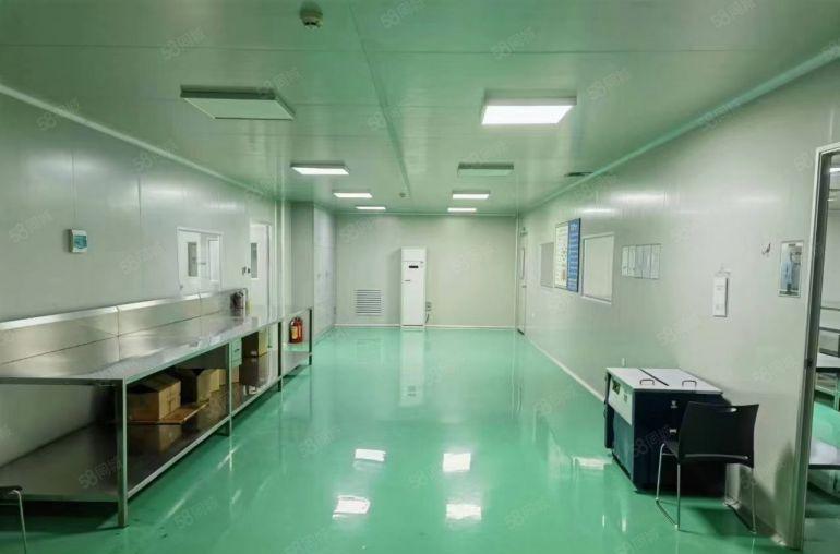 8元价格可谈原房东谢岗桥头1000平方精装修厂房可分租