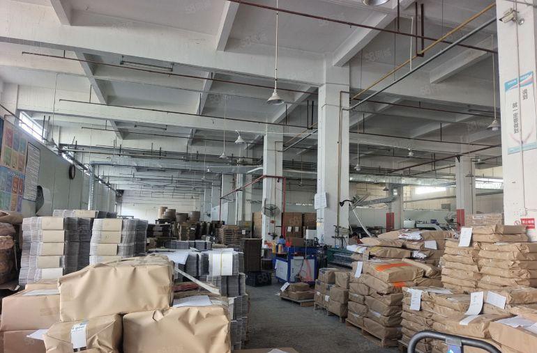 谢岗镇标准厂房一楼实际面积3500平方出租，层高7米，带喷淋