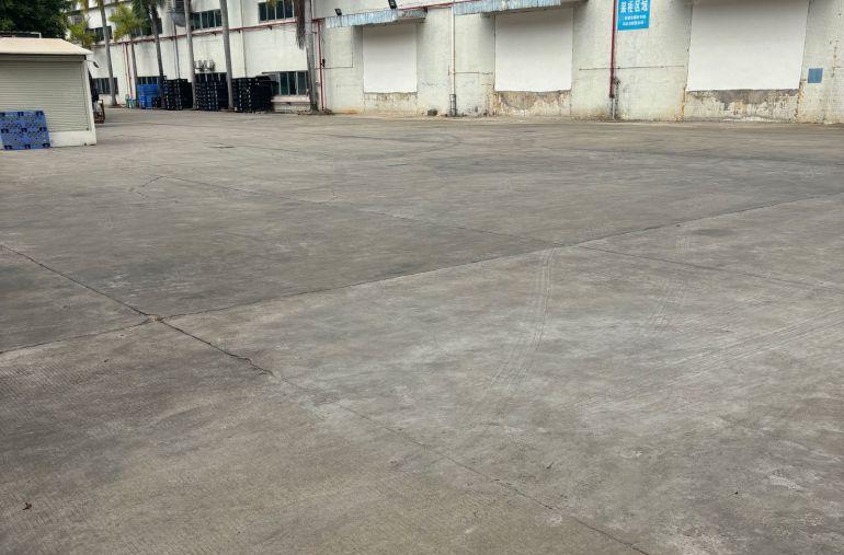 谢岗镇标准厂房出租仓库出租2600平方水电齐全带卸货平台