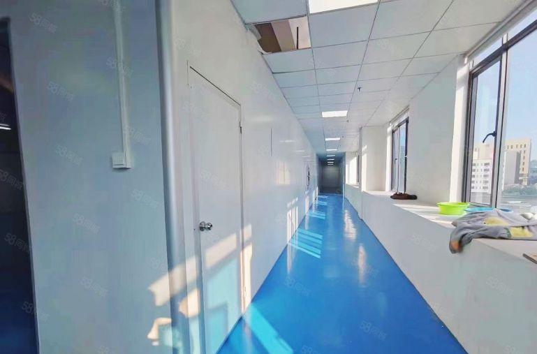 10元出租谢岗原房东带精装修无尘车间厂房一到五楼各850平米