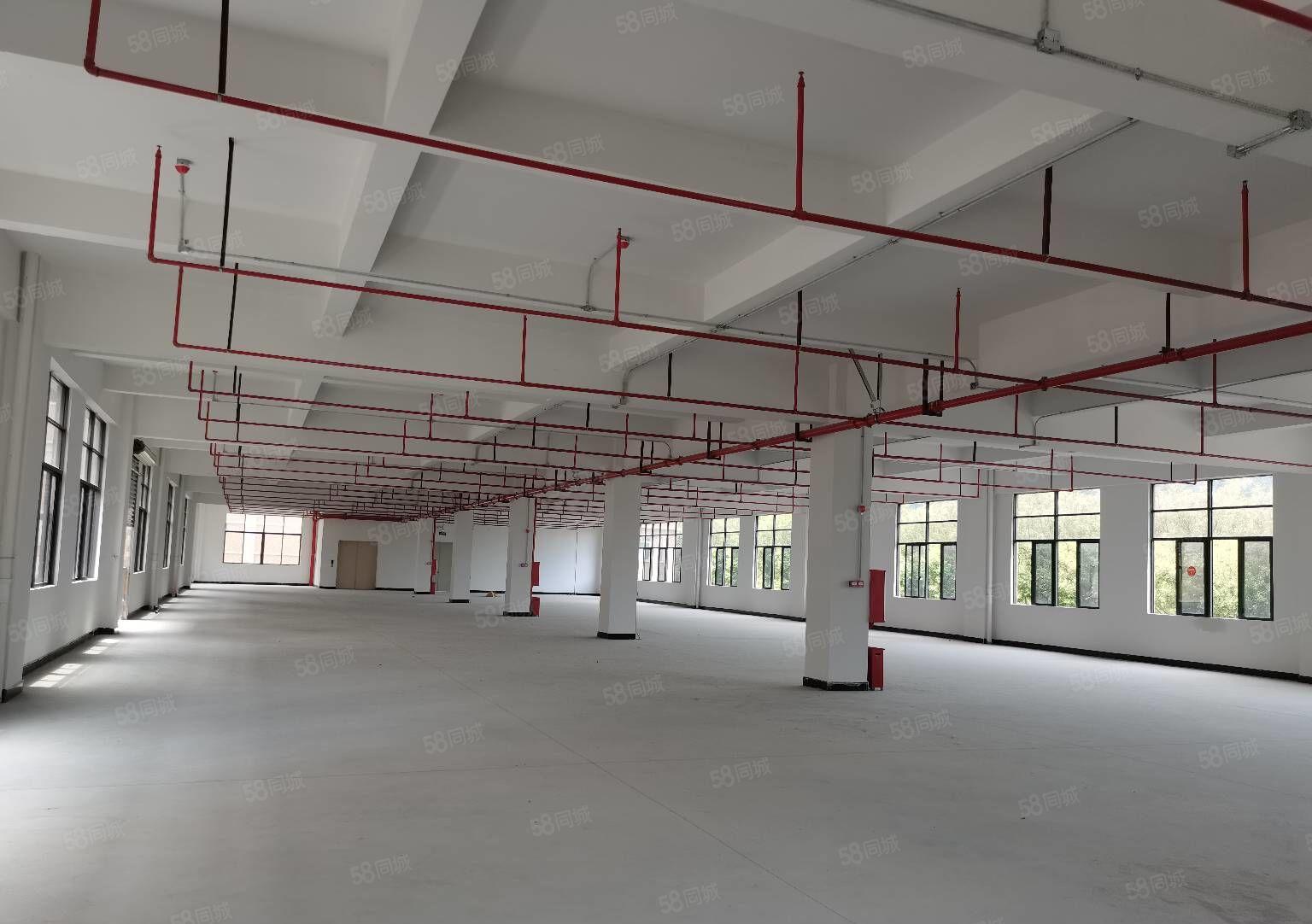 东莞谢岗全新标准单层1750平方红本厂房出租 分租