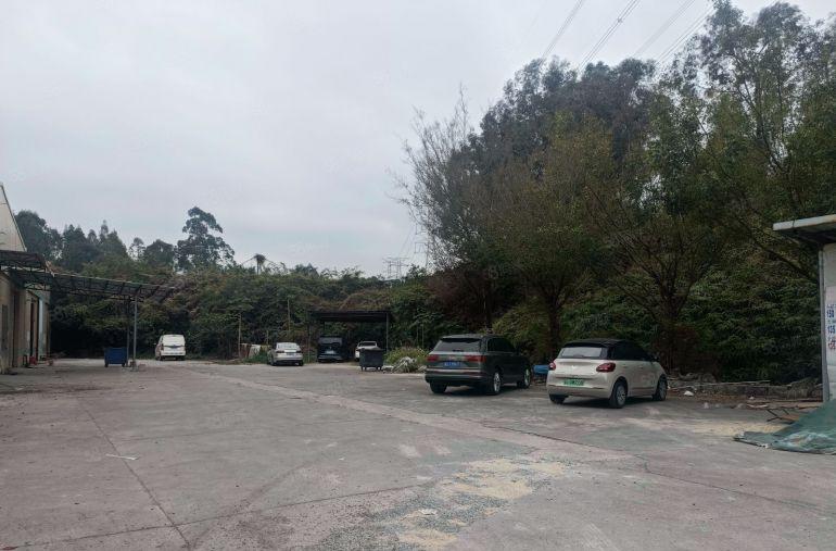 谢岗镇新出原房东标准厂房出租单层面积1100平方可分租