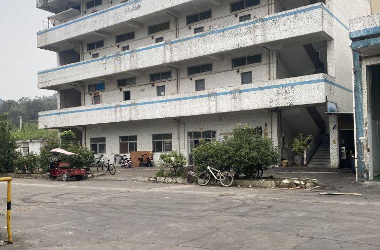 谢岗镇砖墙到顶单一层厂房面积9500平方，滴水10米，带行车