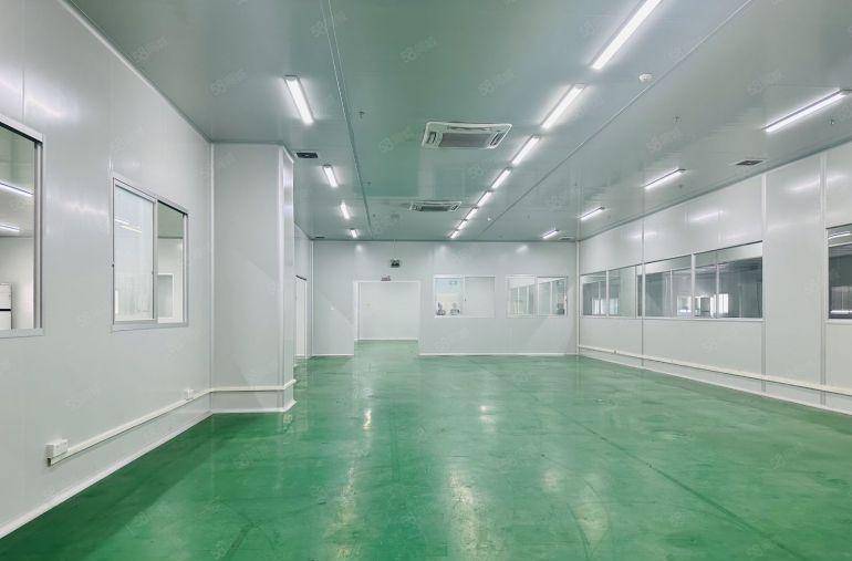 谢岗镇一手原房东新建厂房单层面积2000平方带无尘车间可分租