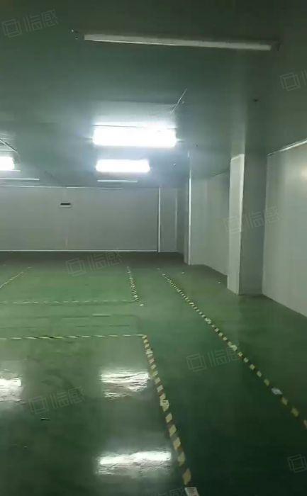 谢岗标准一楼650平无尘车间厂房出租