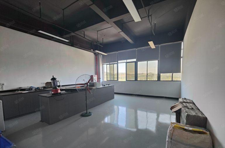 原房东年初急租谢岗镇全新重工业厂房单层2800平方电子塑胶行