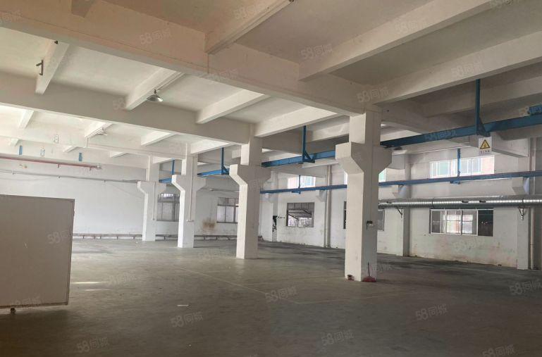 谢岗镇新出一楼6米高800平方米，带一部3吨的行车。