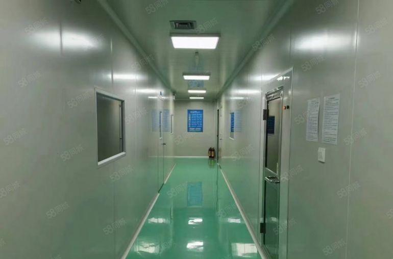 8元价格可谈原房东谢岗桥头1000平方精装修厂房可分租