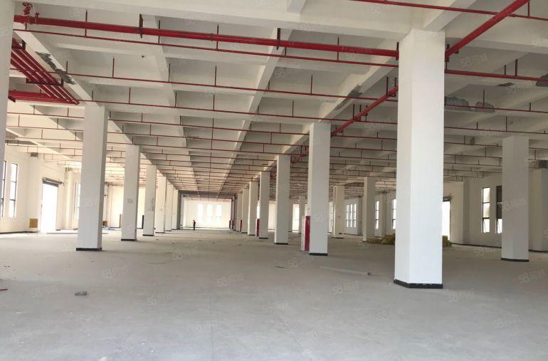 报价10元谢岗全新2万平红本厂房200平起一楼仓库原房东出租