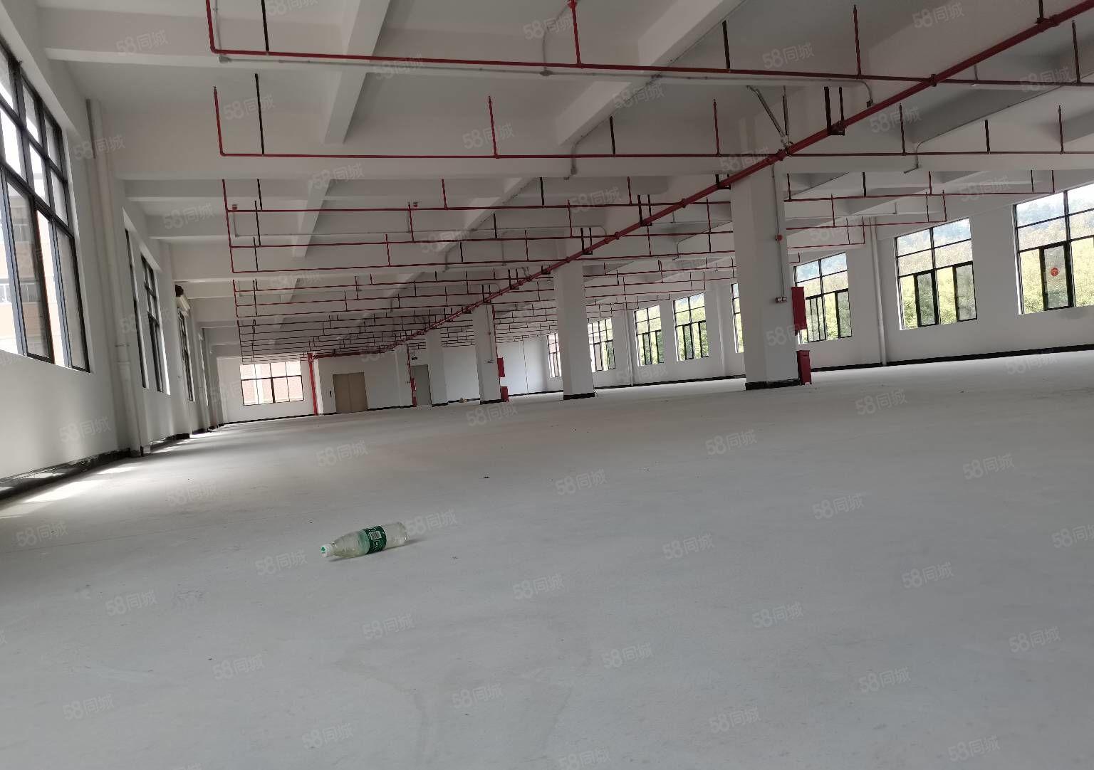 东莞谢岗全新标准单层1750平方红本厂房出租 分租