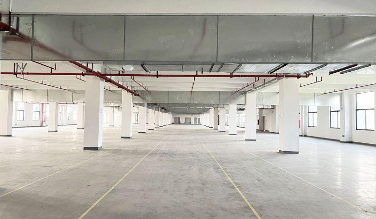 东莞厂房特价10元起租，条件可以放宽