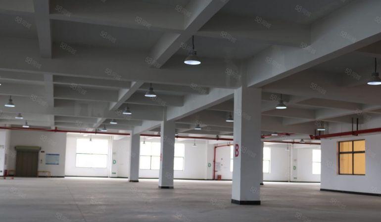 大朗新马莲原房东2500平全新厂房出租