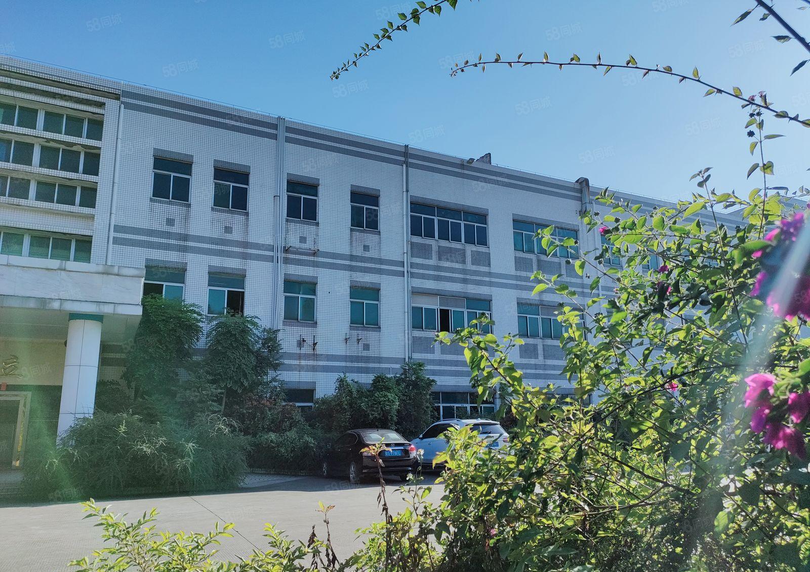 东坑路口靠近大朗方向现新空一楼700平方由于订单少厂房出租