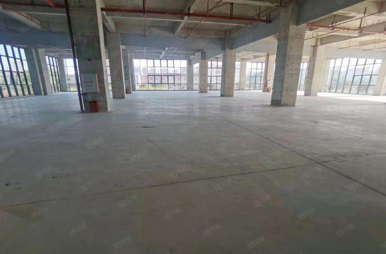 新出标准厂房 2000平 厂房出租