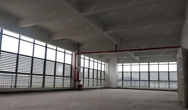 大朗新马莲原房东2500平全新厂房出租