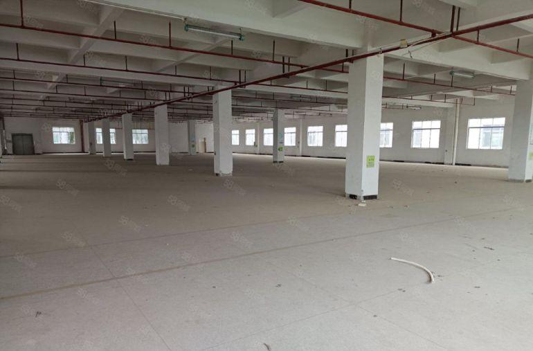 台湾房东。清溪镇国有双证厂房出租，独门独院，格局方正，形象好