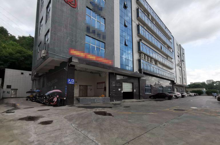 200平起分龙华明治原房东科技园精装修办公室仓库厂房出租分租