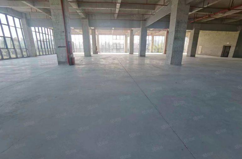 新出标准厂房 2000平 厂房出租