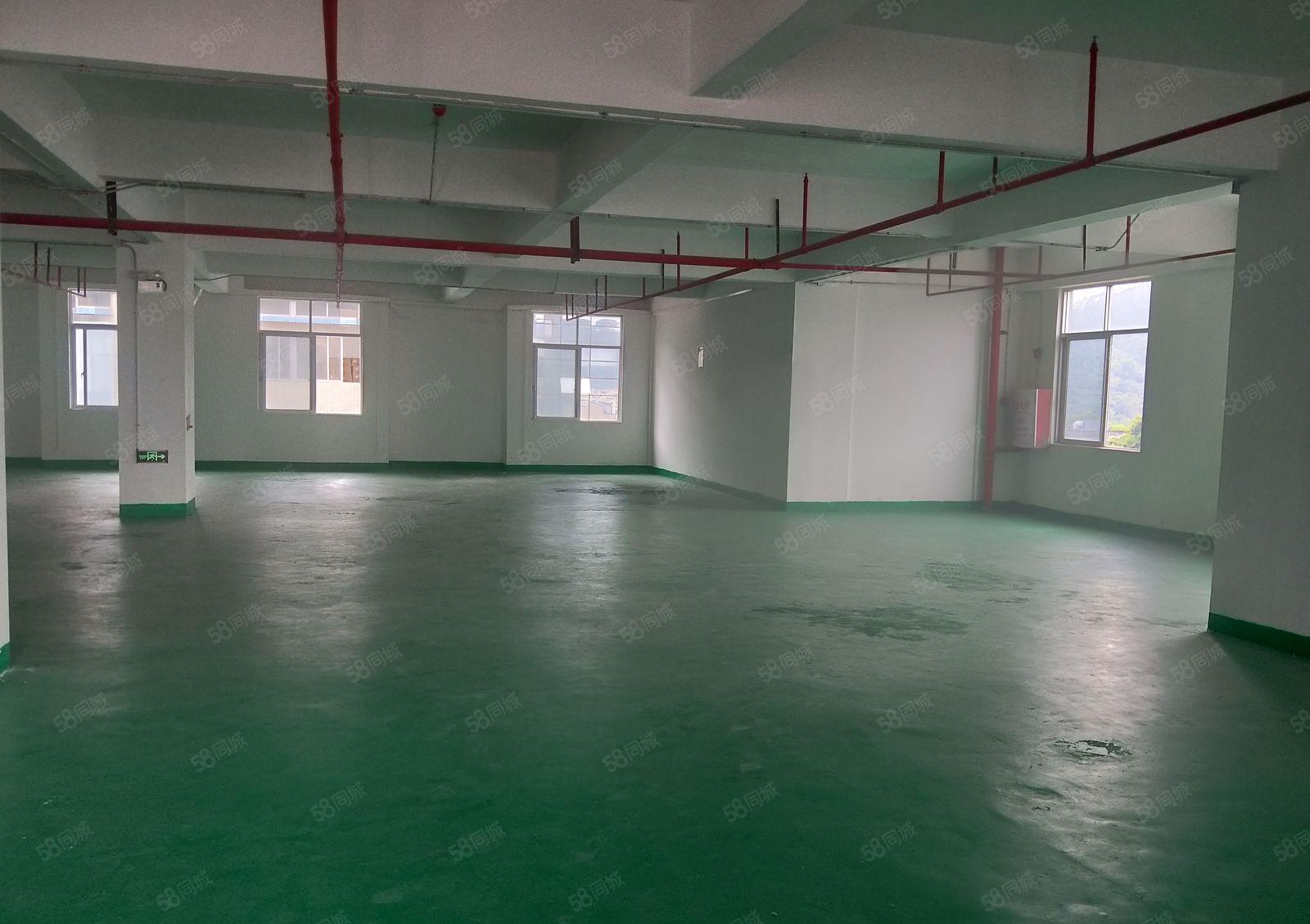 黄江靠近深圳光明850平米带地坪漆 带装修厂房出租！无中介！