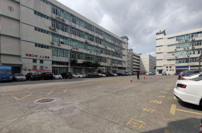 100平起大浪工业园整层2000平电商办公室仓库厂房出租分租