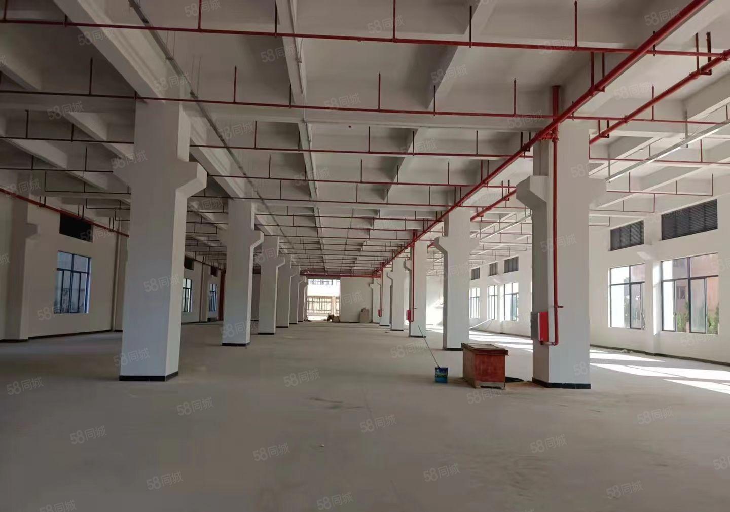 沙井新出原房东独院标准厂房可分租形象好