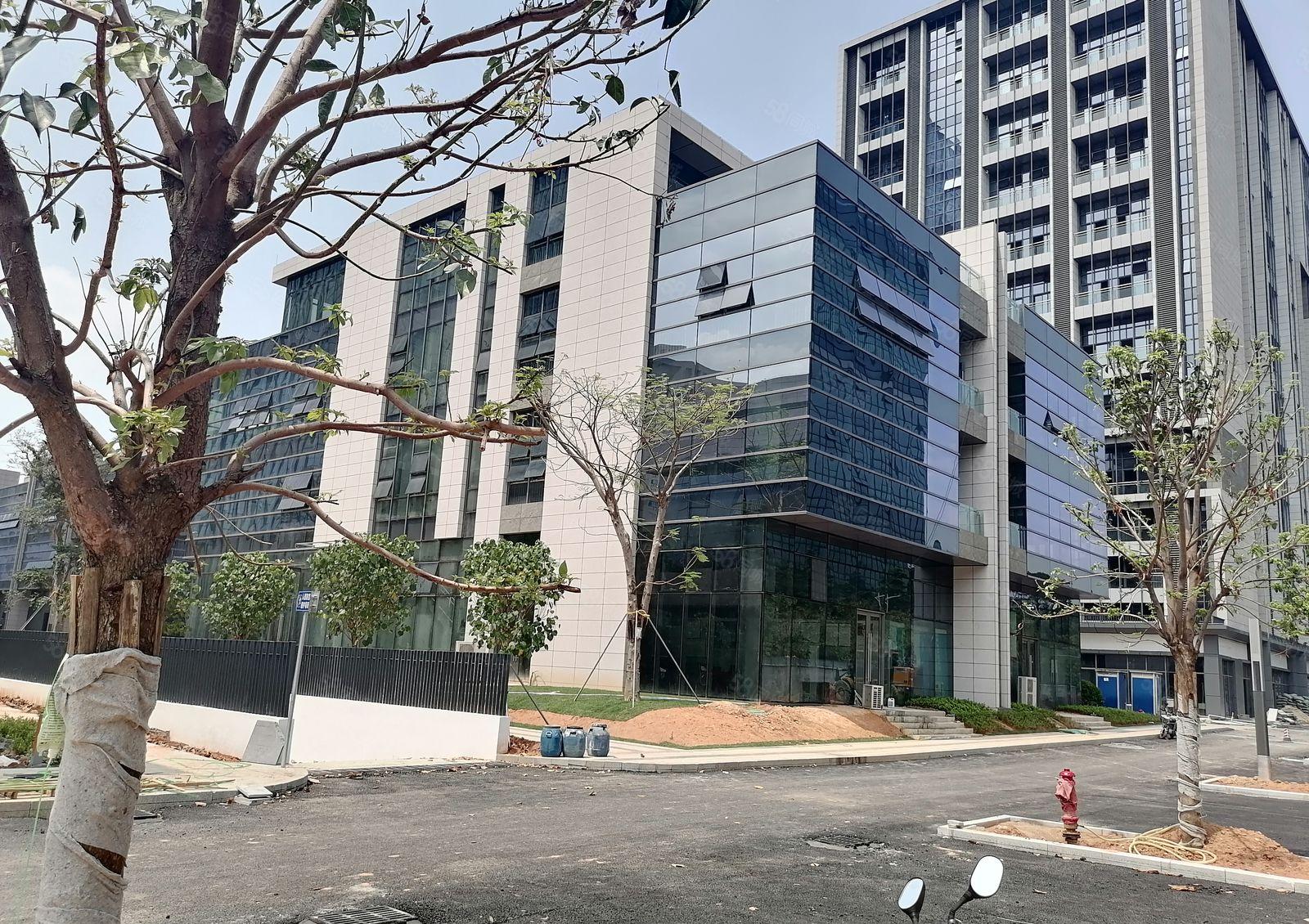 公明高新区科技园招商，形象好可申请高新补贴，原房东价格优惠