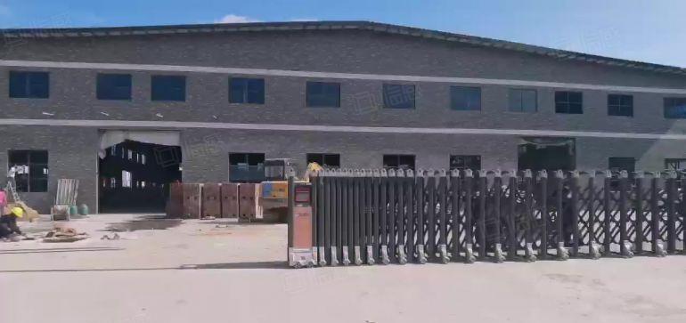 清溪5000平独门独院砖墙单一层钢构原房东厂房出租层高12米