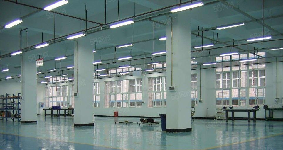 广州新塘五期厂房   价格可议