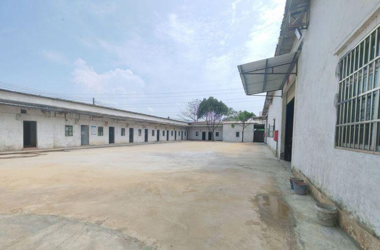 10元独院单一层，原房东出租面积3500平2000平大车方便