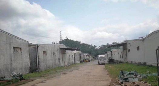 凤岗镇平湖交界处、出租钢构6万平，高8米空地超大