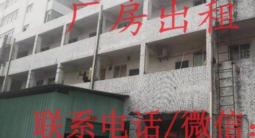 东莞杨屋杨朗路旁6000㎡ 厂房租售层高6米 配电1200KVA 独院 可环评