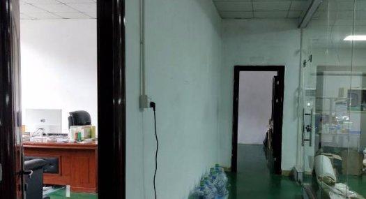 凤岗竹塘楼上带装修厂房1200平出租车间刷地坪漆 光线好