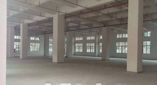 凤岗五联注塑设备厂房出租1760平带消防喷淋高6.5米