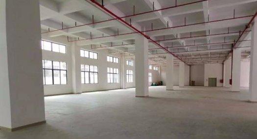 凤岗五联注塑设备厂房出租1760平带消防喷淋高6.5米