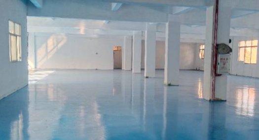 东莞东莞市 沙头林记鱼村附近1200㎡ 厂房租售层高4.5米 配电450KVA 独院 可环评 可分租