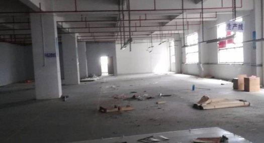 凤岗黄洞玩具 电子 手袋厂房出租1400平带办公室