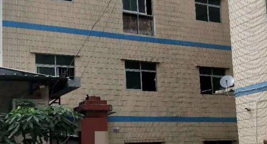 好招工交通方便凤岗雁田独院厂房出租5000平配电按需