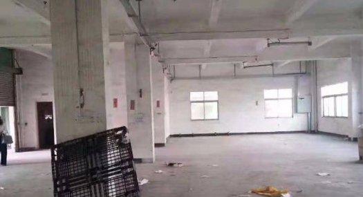 凤岗怡安工业城附近一楼厂房出租600平高5.5米 价格便宜